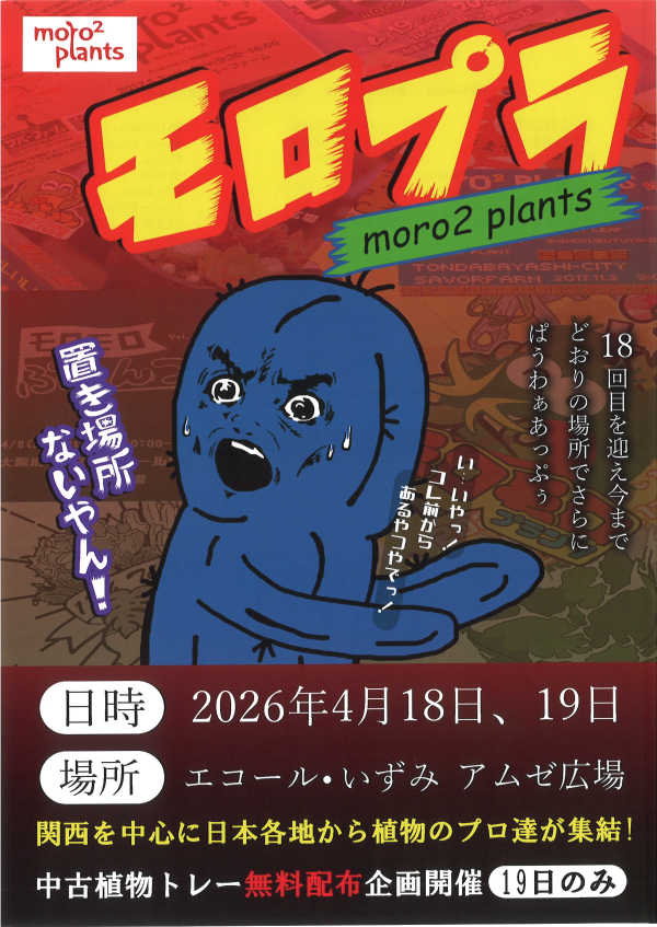 moro²プランツ